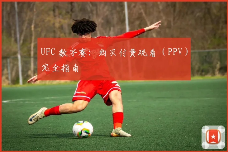 UFC 数字赛：购买付费观看（PPV）完全指南