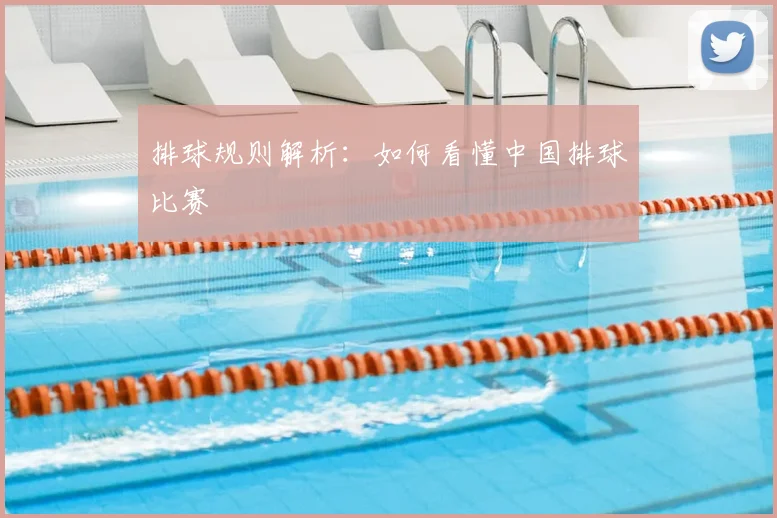 排球规则解析：如何看懂中国排球比赛